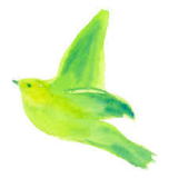青い鳥イラスト